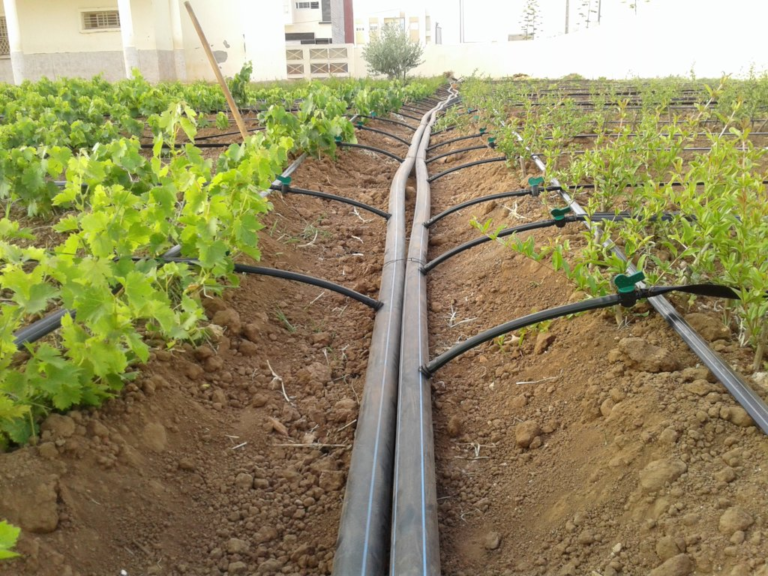 The Benefits of Installing a Drip Irrigation System