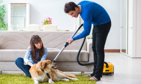 Pet-Proof Carpet Cleaning: How to Keep Your Home Fresh and Tidy with Pets – Guide by Happy Clean Dublin
